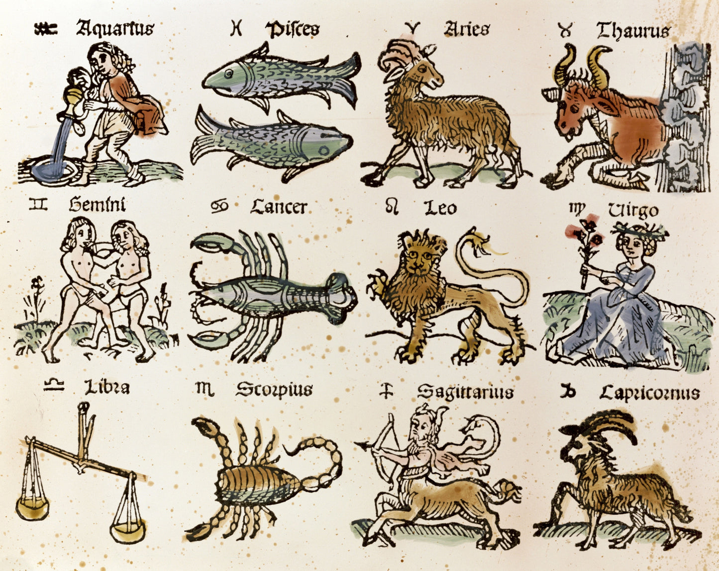 Twelve signs of the zodiac