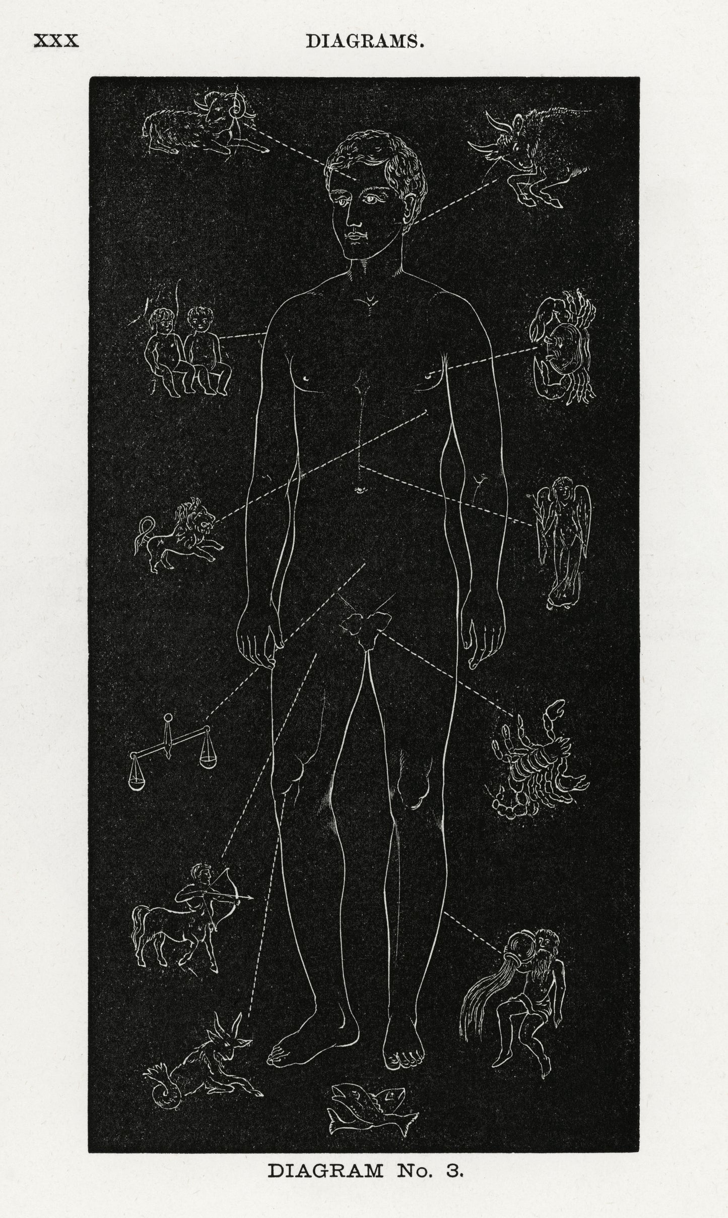 Diagram no.3 Solar Biology by Hiram Erastus Butler (1841–1916)