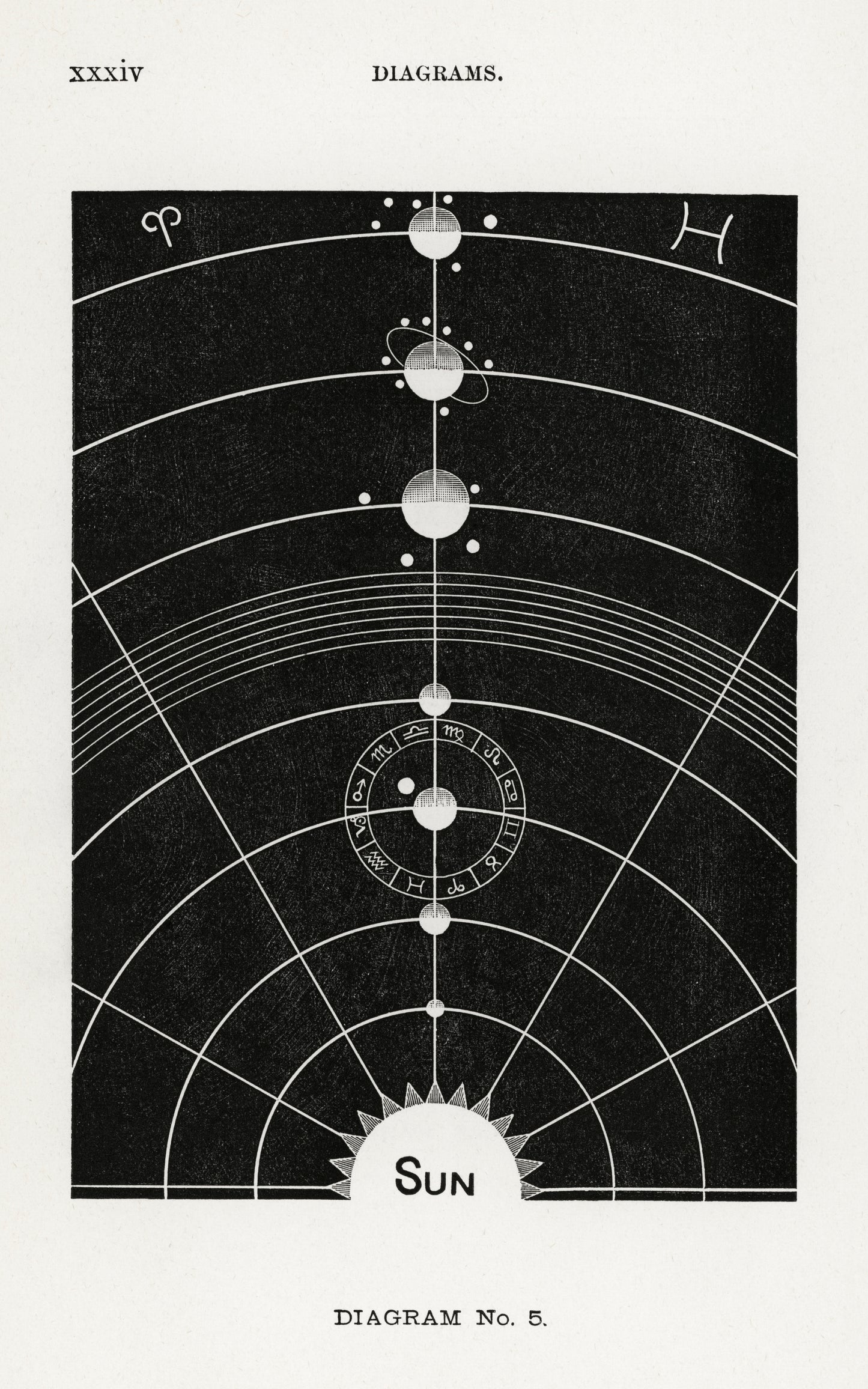 Diagram no.5 Solar Biology by Hiram Erastus Butler (1841–1916)