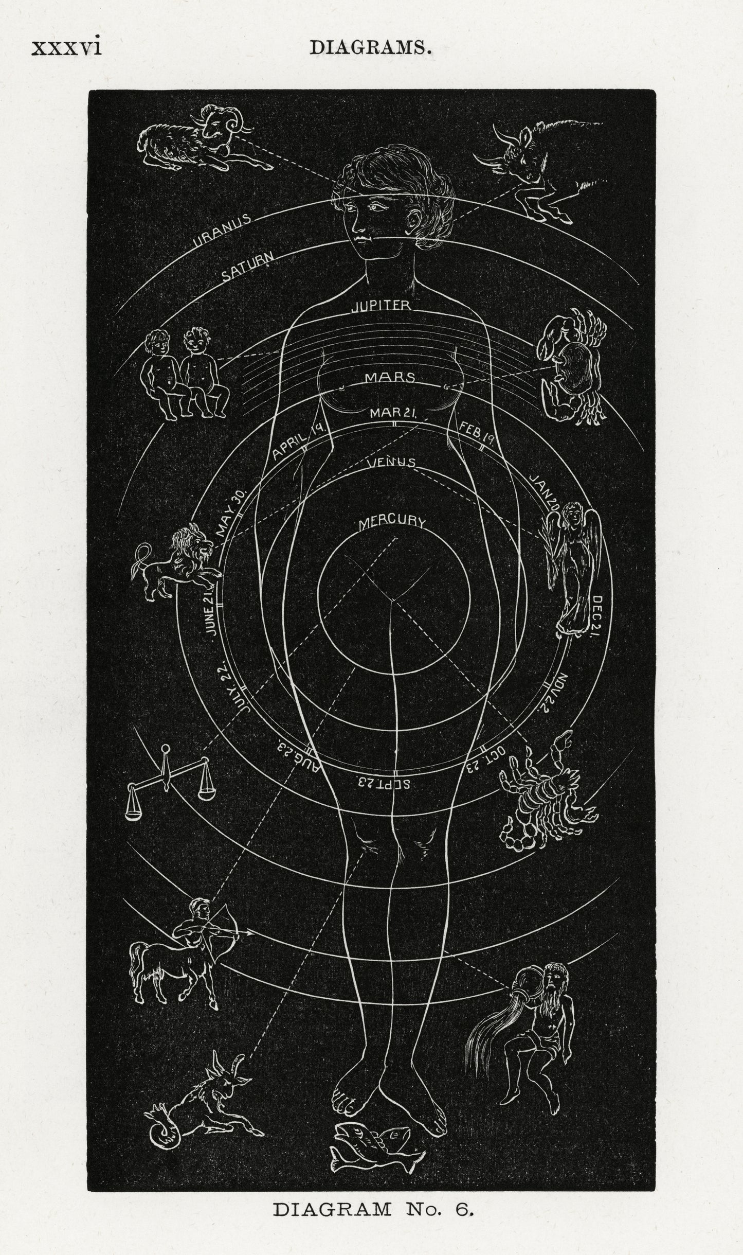 Diagram no.6 Solar Biology by Hiram Erastus Butler (1841–1916)