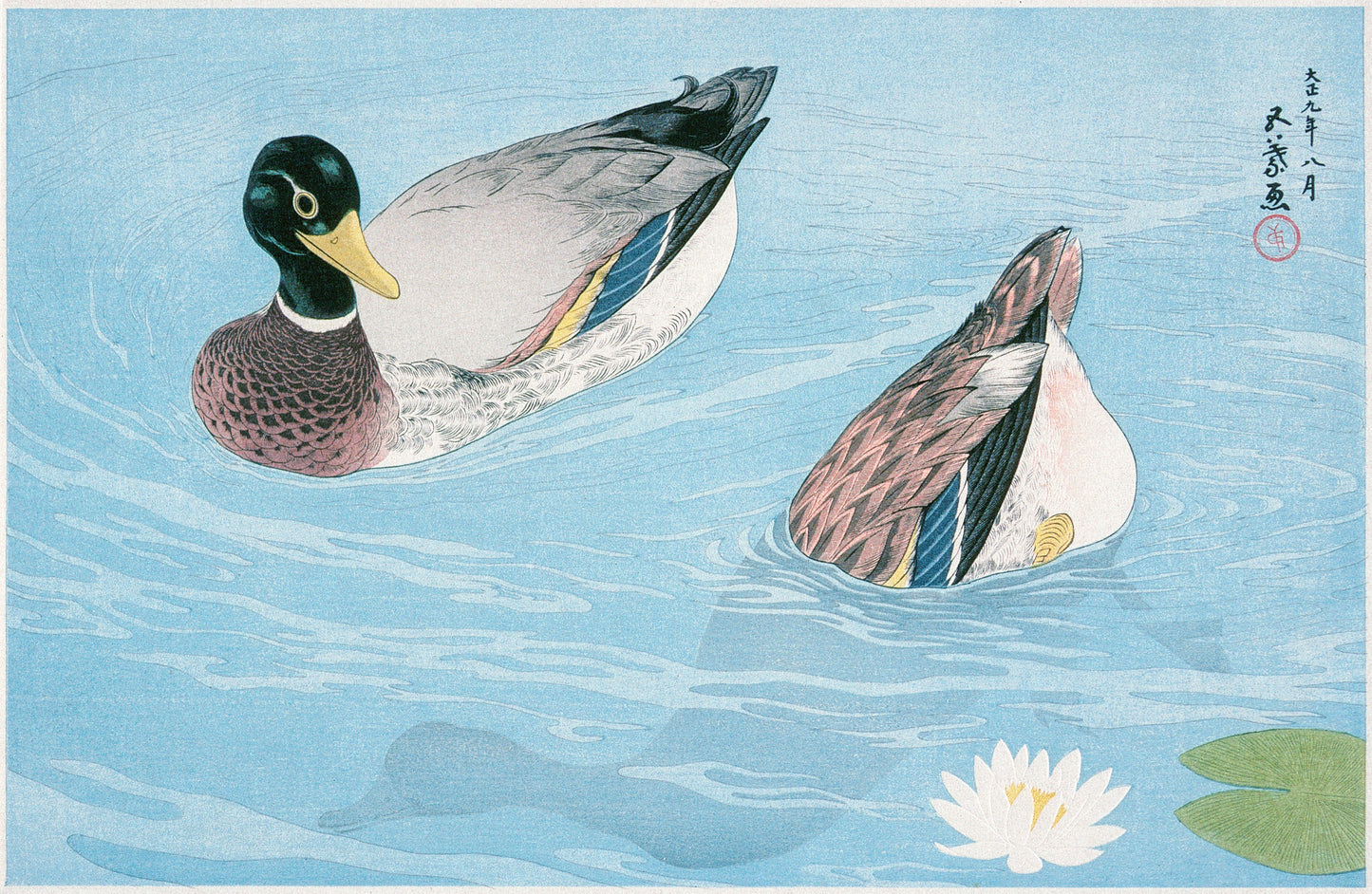 Ducks by Goyo Hashiguchi