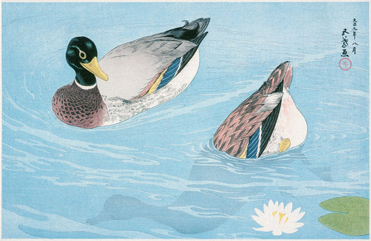 Ducks by Goyo Hashiguchi