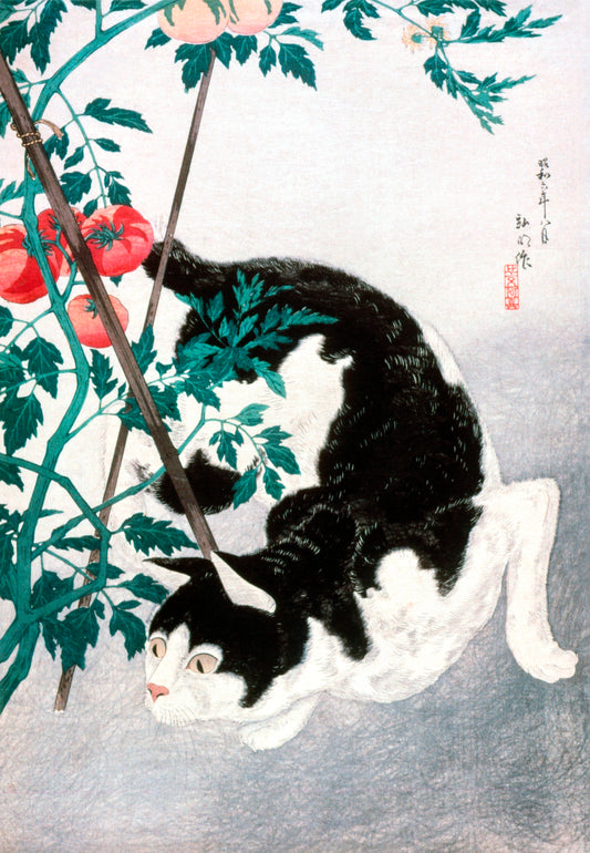 Cat with Tomato Plant by Hiroaki Takahashi