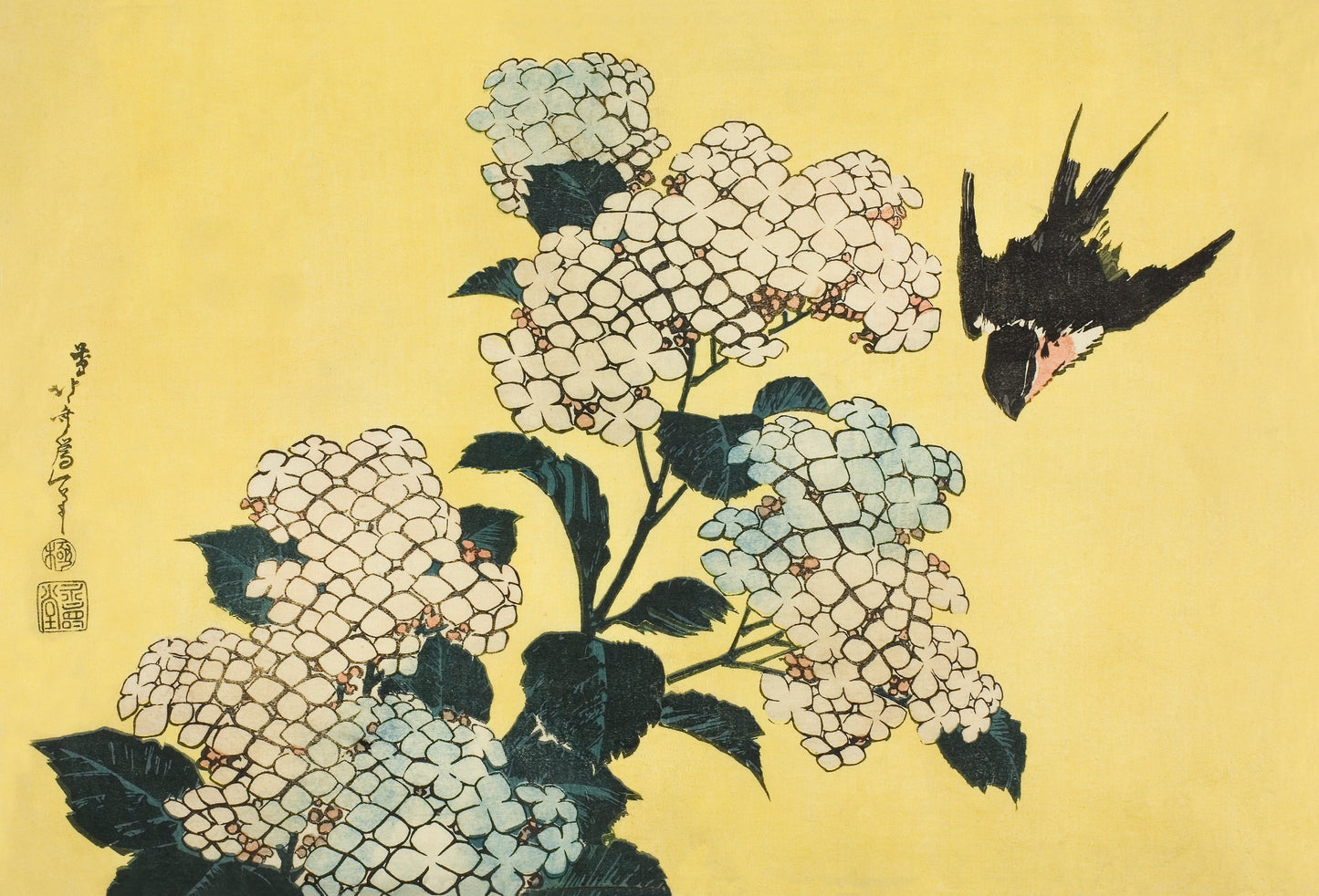 Hydrangea and Swallow by Hokusai