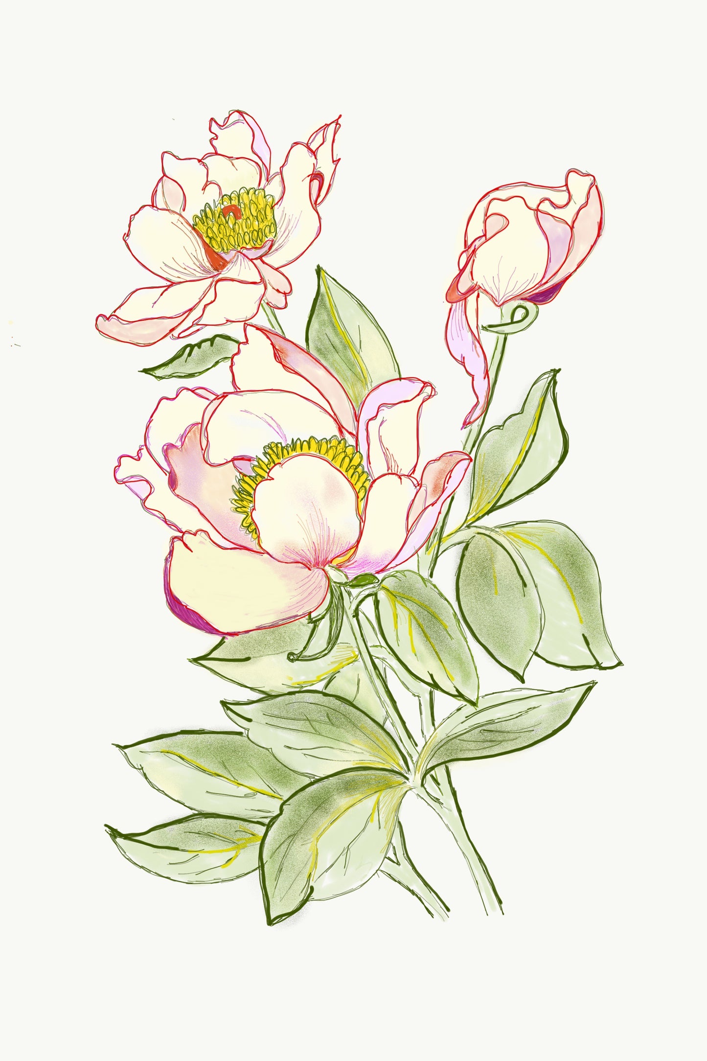 Hellebore by Jane Jago