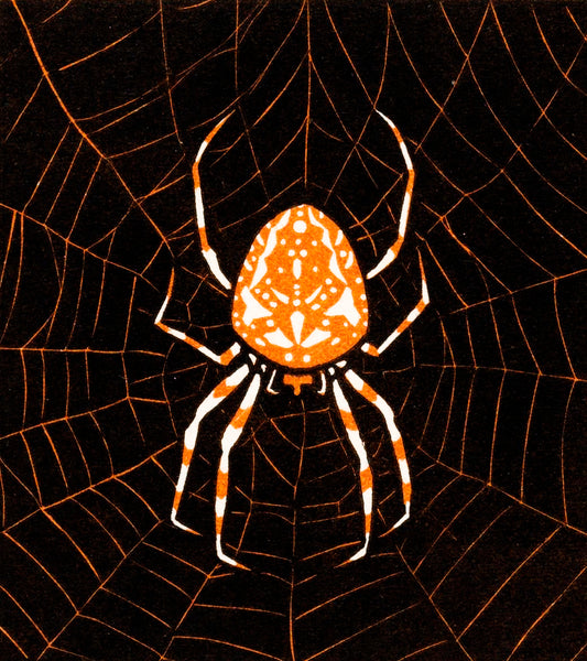 Spider in a Web by Julie de Graag