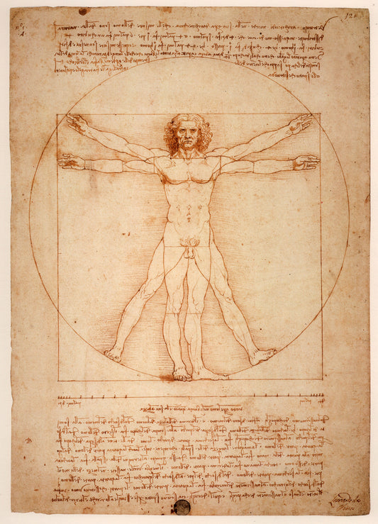 Virtruvian Man by Leonardo Da Vinci