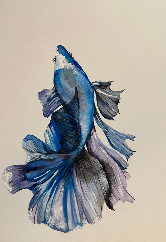 Koi Betta by Myungja Anna