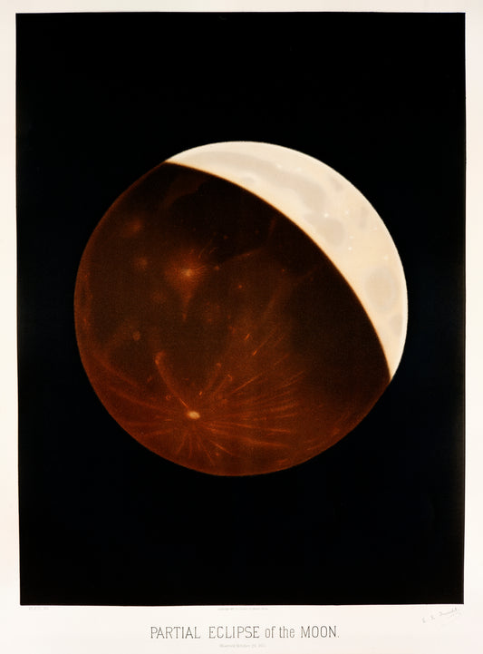 Partial eclipse of the moon (1881-1882) by E. L. Trouvelot