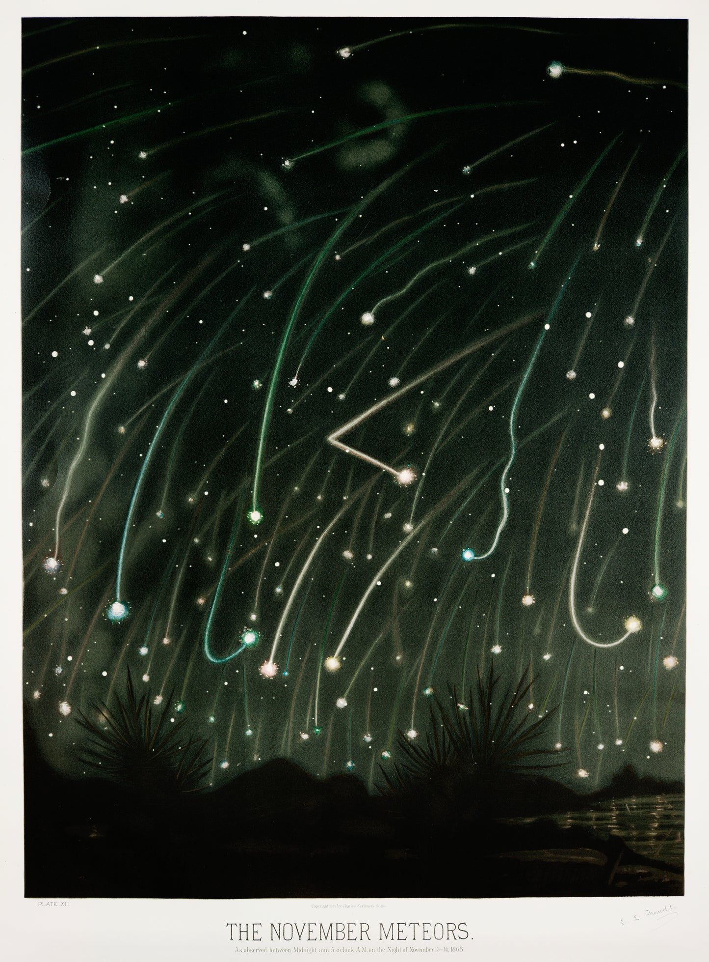 The November meteors (1881-1882) by E. L. Trouvelot