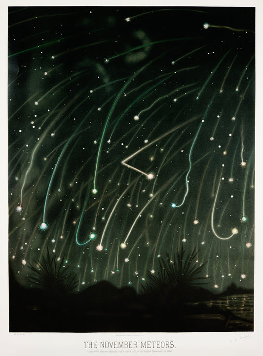 The November meteors (1881-1882) by E. L. Trouvelot