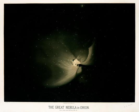 The great nebula in Orion  (1881-1882) by E. L. Trouvelot