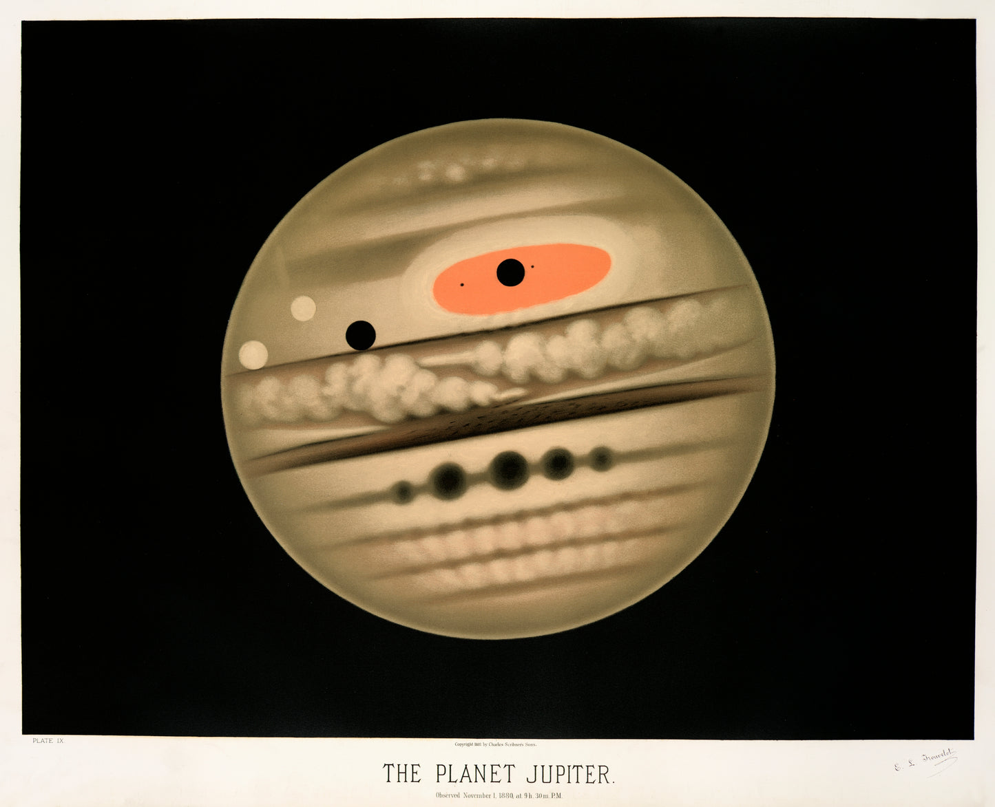 The planet Jupiter  (1881-1882) by E. L. Trouvelot